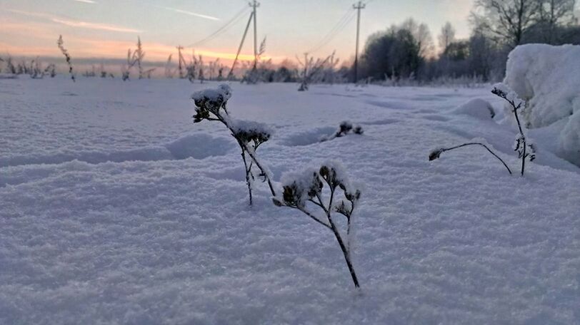 VIEW OF SNOW COVERED LANDSCAPE