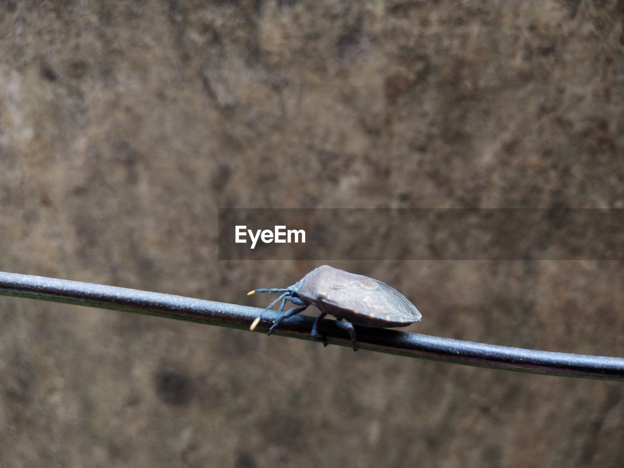 metal, no people, close-up, focus on foreground, day