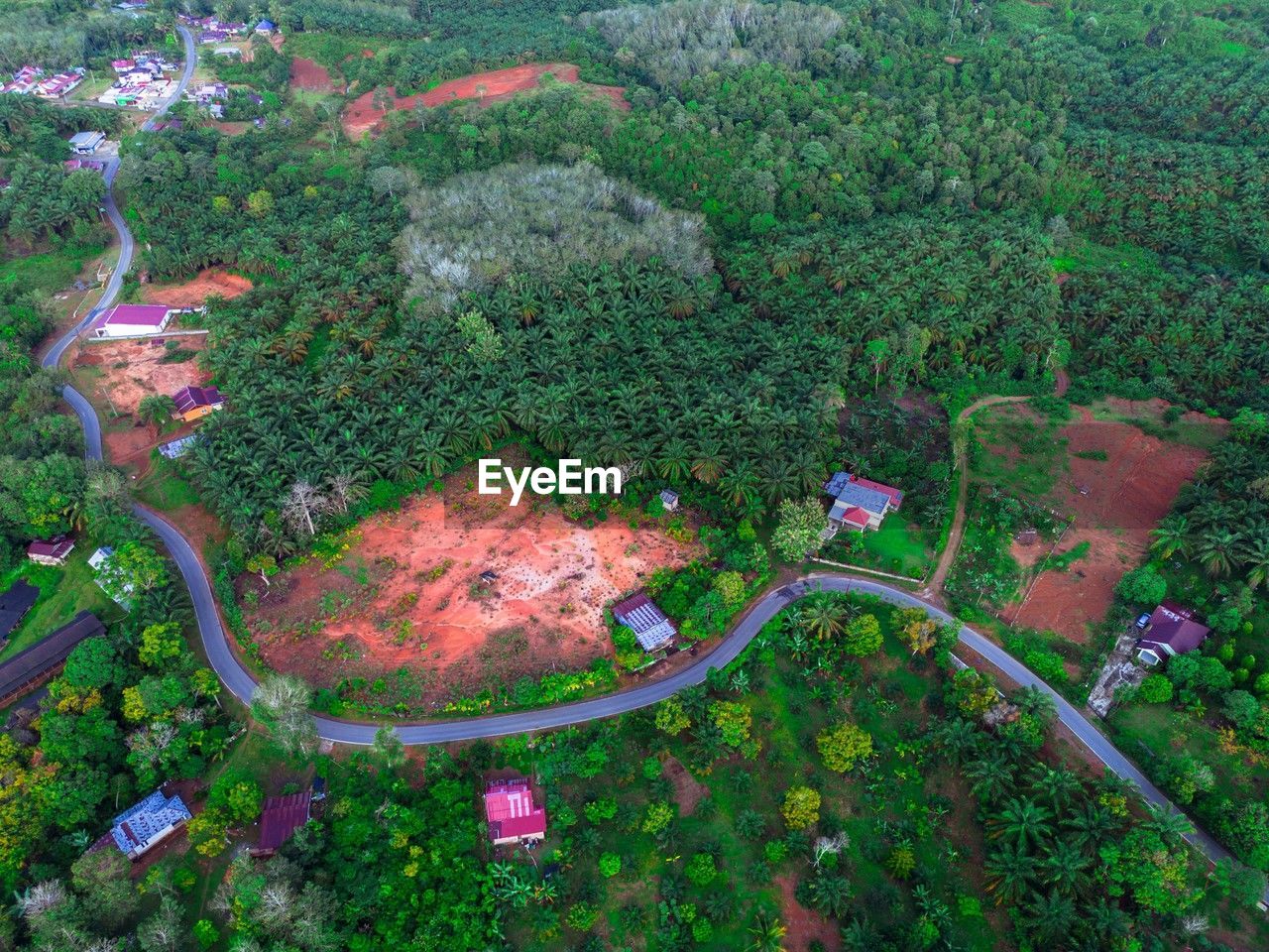 aerial photography, plant, aerial view, high angle view, bird's-eye view, nature, environment, growth, landscape, no people, land, beauty in nature, tree, scenics - nature, green, day, outdoors, transportation, tranquility, road, forest, tranquil scene, field, architecture, agriculture, vegetation, non-urban scene, water, rural scene, jungle