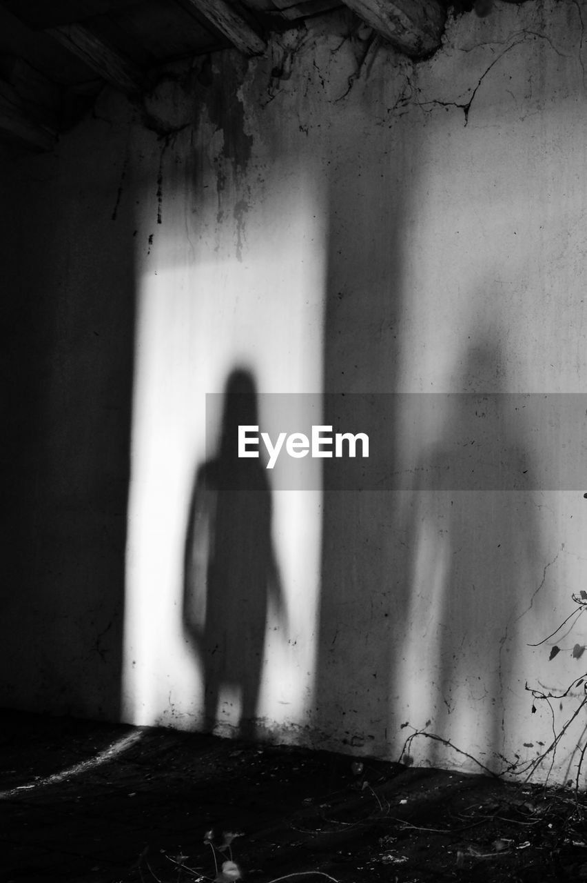 SHADOW OF PERSON STANDING ON WALL IN ABANDONED BUILDING