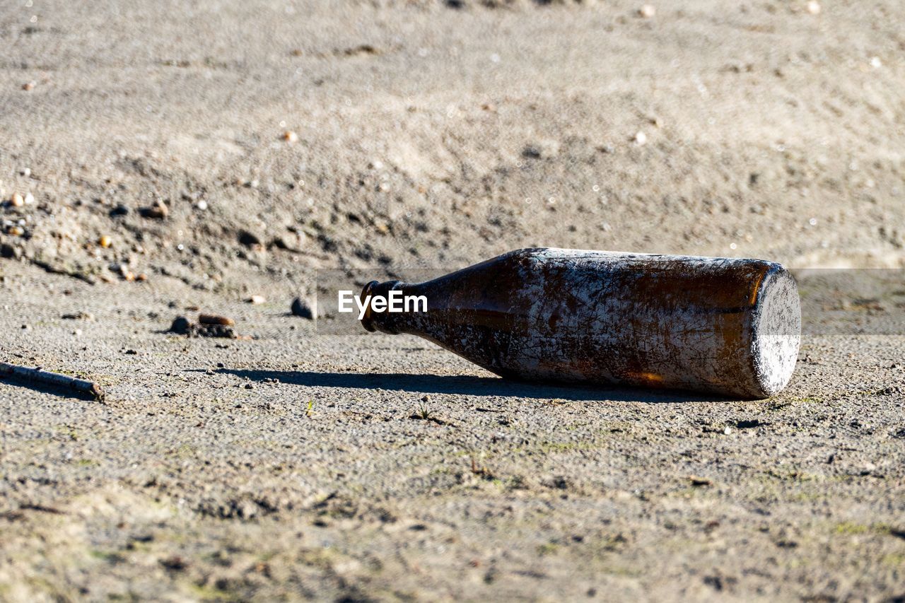 HIGH ANGLE VIEW OF ANIMAL ON SAND