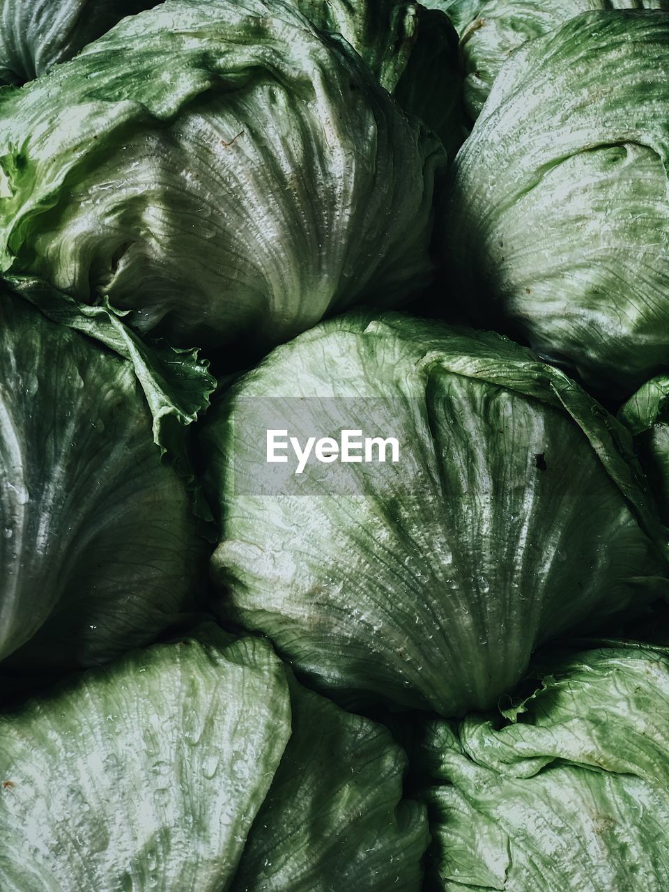 Full frame shot of green leaves