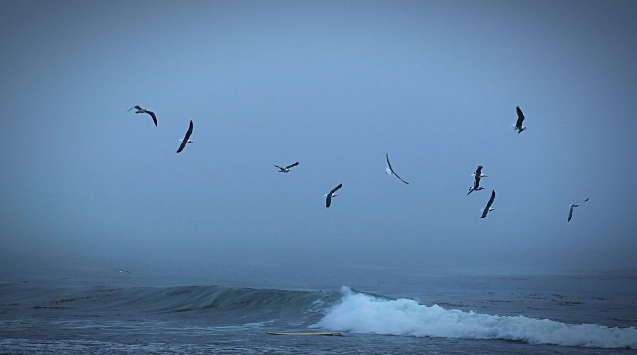 Flock of birds flying over sea against sky at dusk
