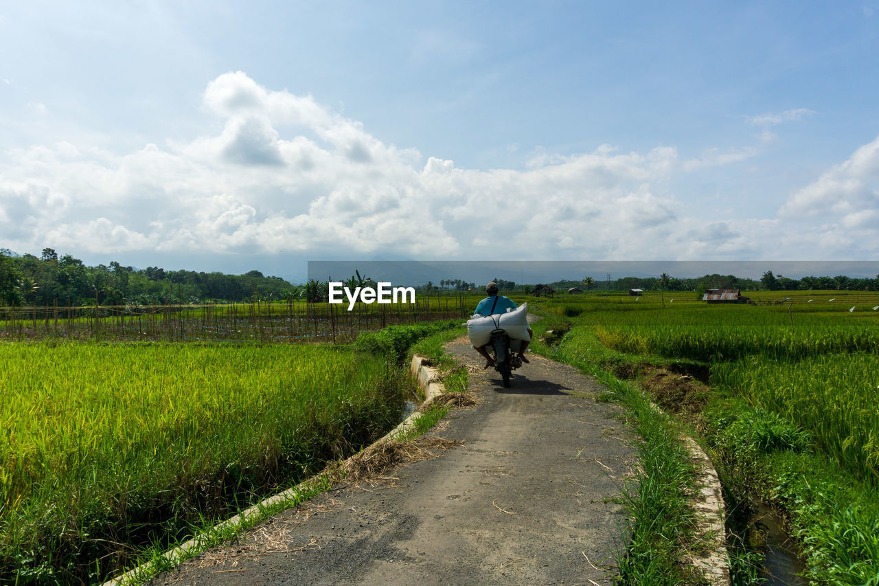 Road infrastructure and farmers transporting agricultural sector produce in indonesia