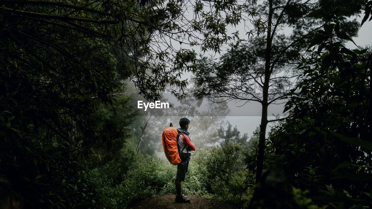 Side view of man with backpack standing in forest