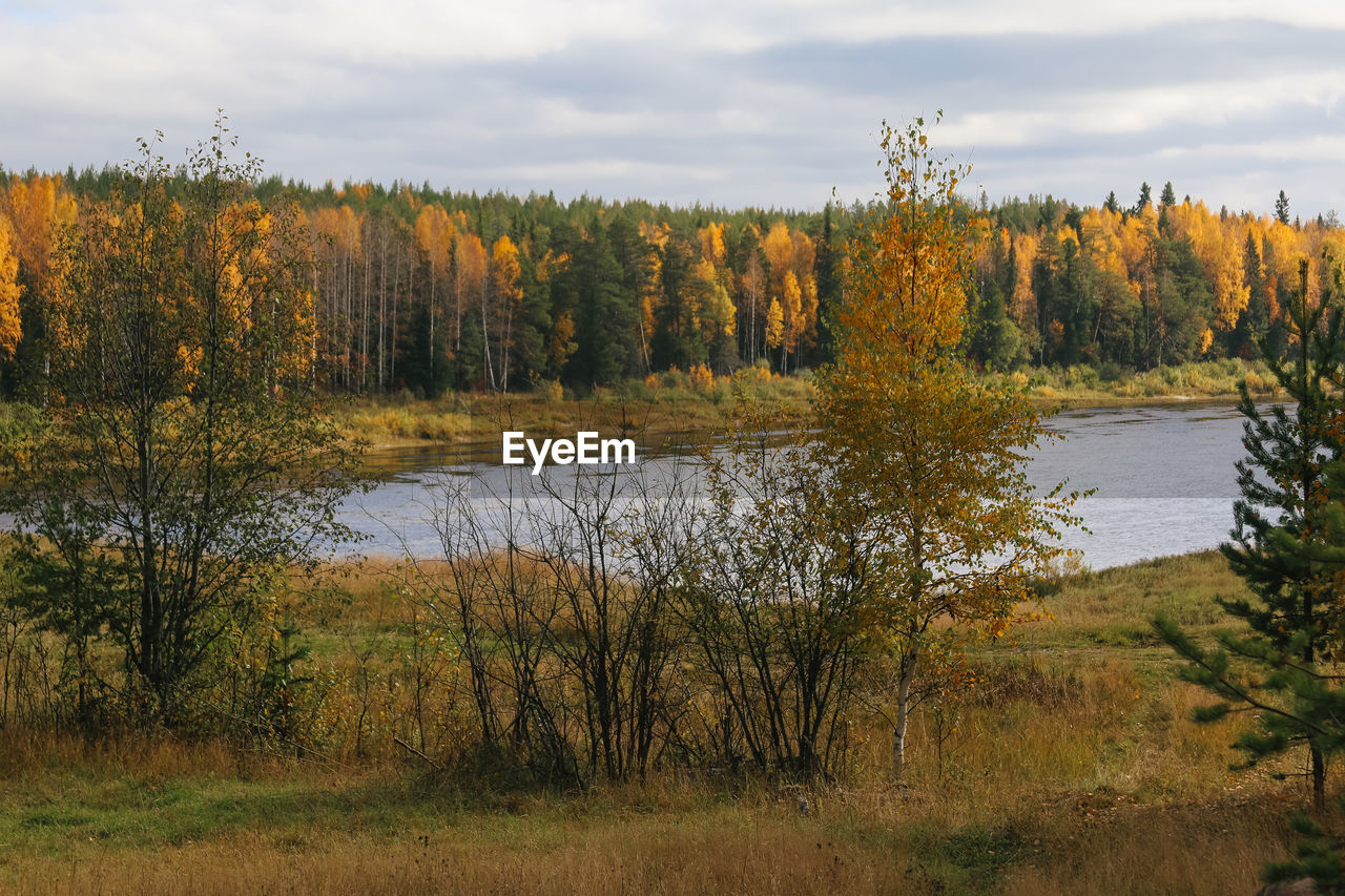 SCENIC VIEW OF LAKE IN FOREST AGAINST SKY