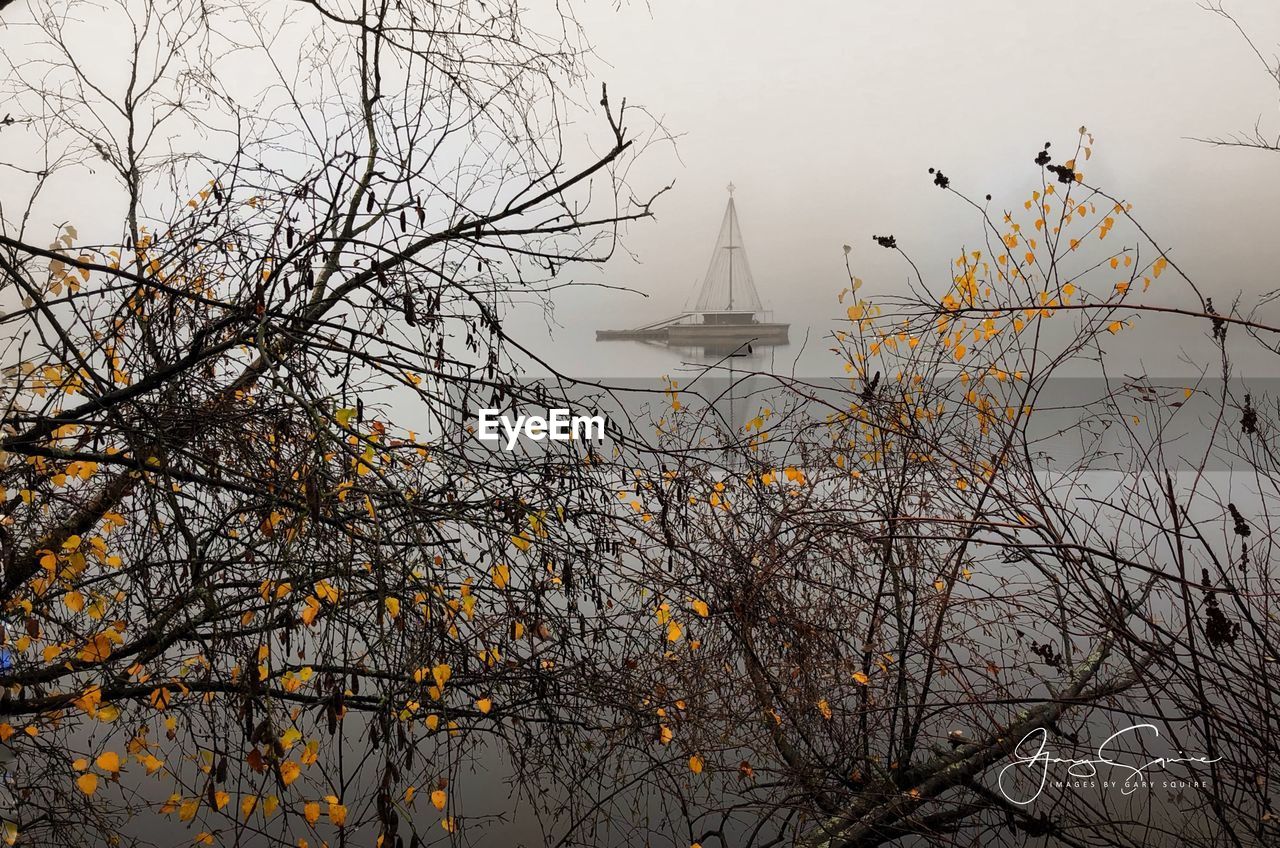 SCENIC VIEW OF LAKE AGAINST BARE TREES