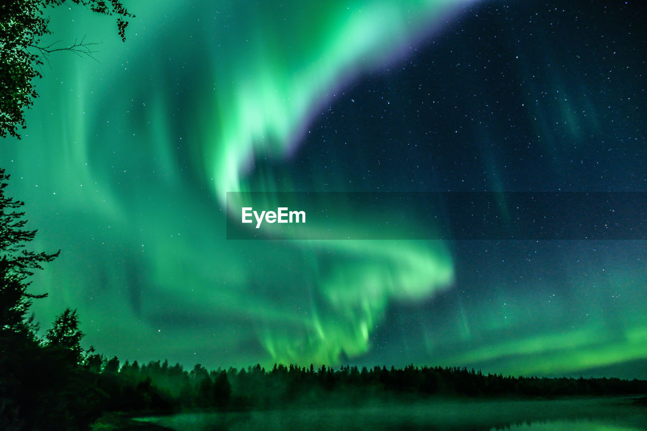 Scenic view of aurora against sky at night