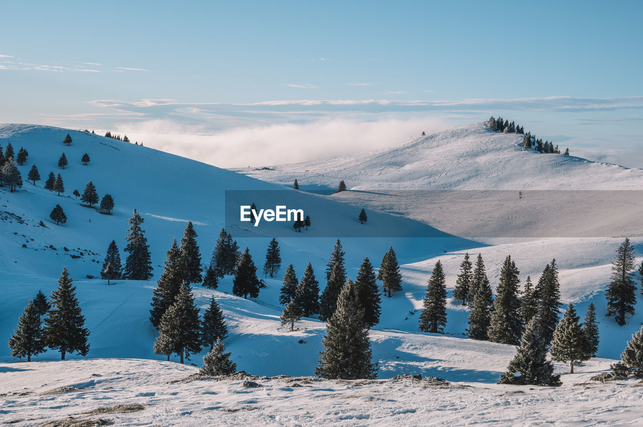 Winter landscape on velika planina