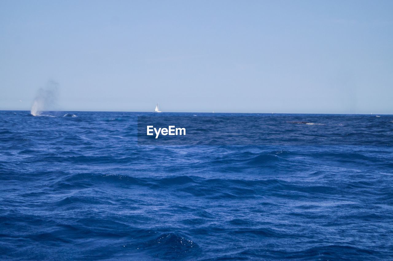 VIEW OF SEA AGAINST CLEAR SKY
