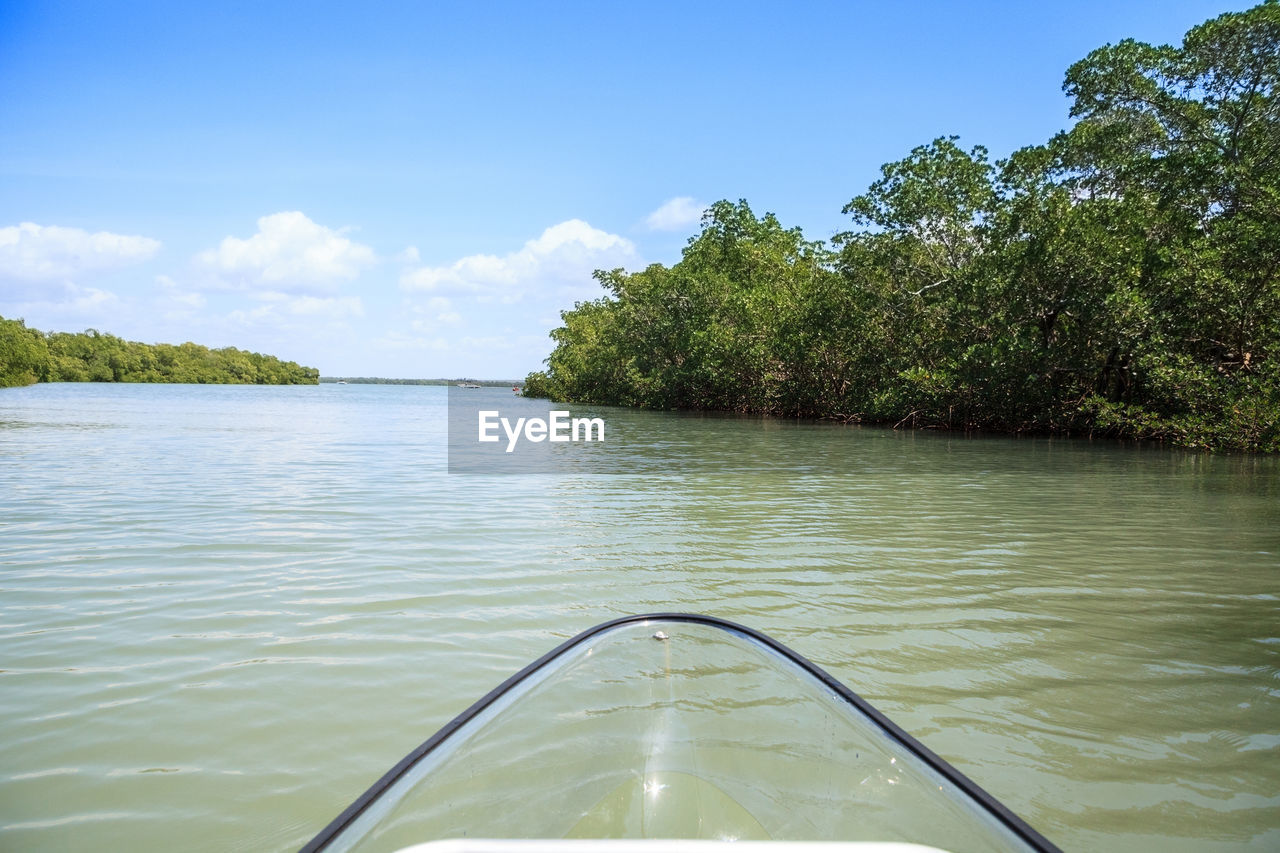 SCENIC VIEW OF LAKE AGAINST TREES