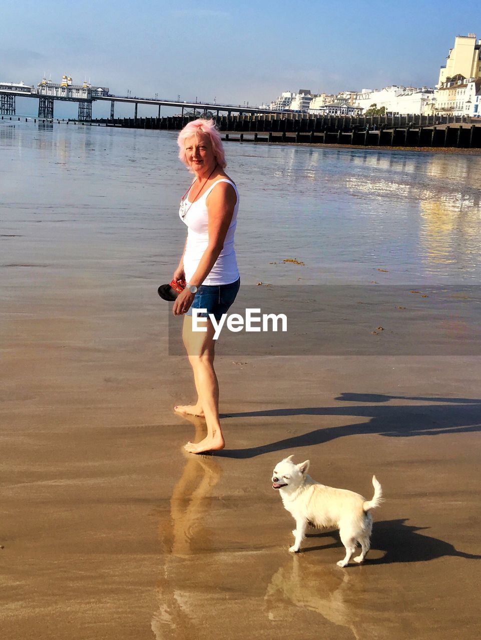 Portrait of woman with puppy walking at beach