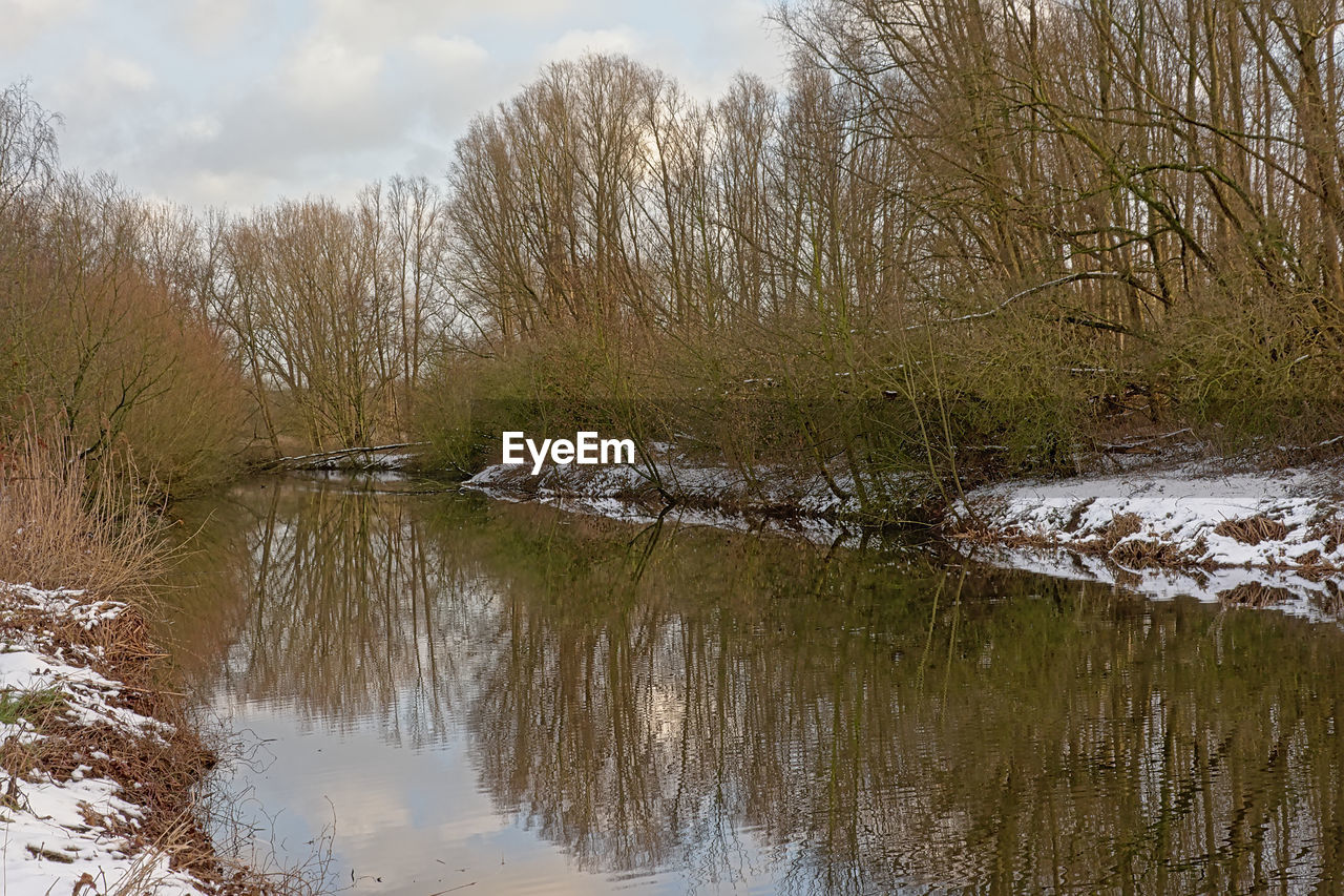 REFLECTION OF TREES IN LAKE