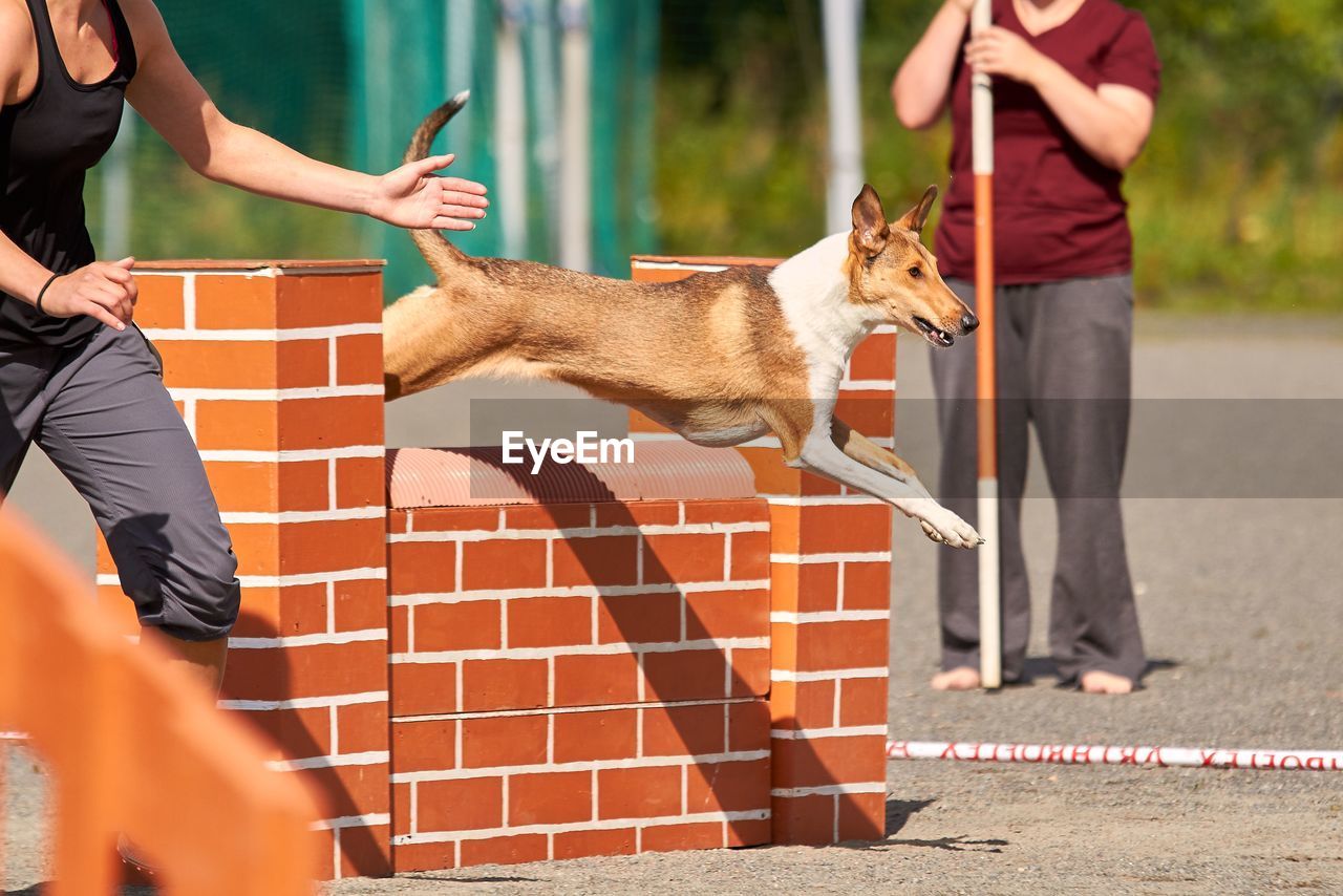 LOW SECTION OF MAN WITH DOG AGAINST PEOPLE ON STREET