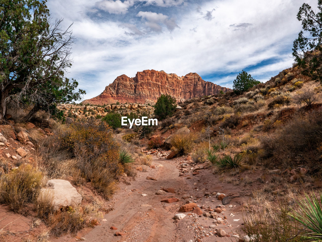 Scenic view of landscape against cloudy sky