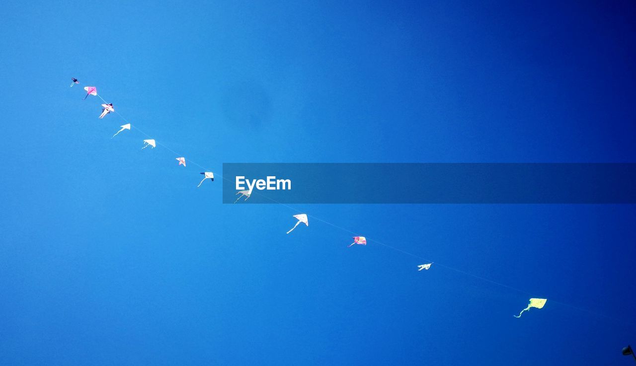 LOW ANGLE VIEW OF BIRDS FLYING IN BLUE SKY