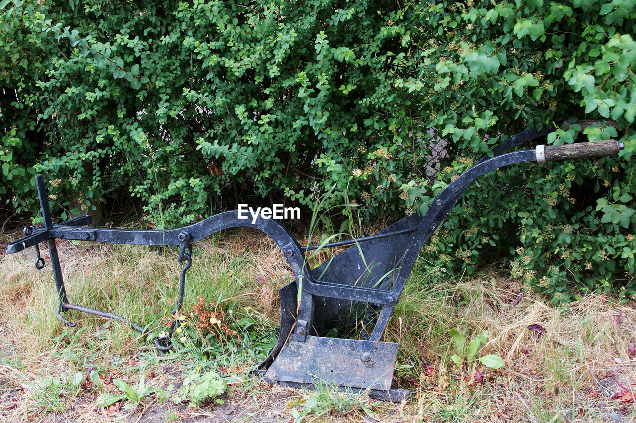 ABANDONED PLANTS IN PARK