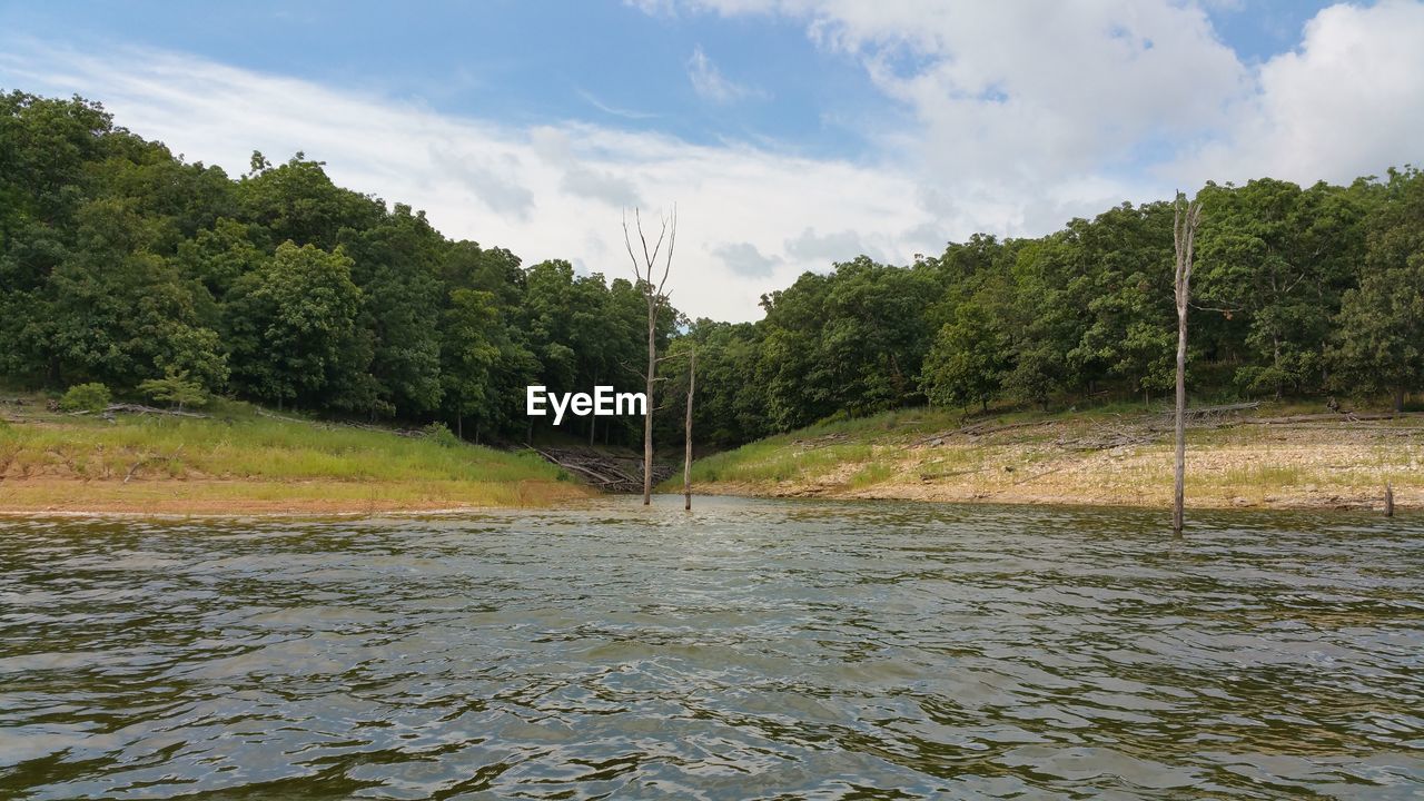 VIEW OF TREES WITH RIVER IN FOREGROUND