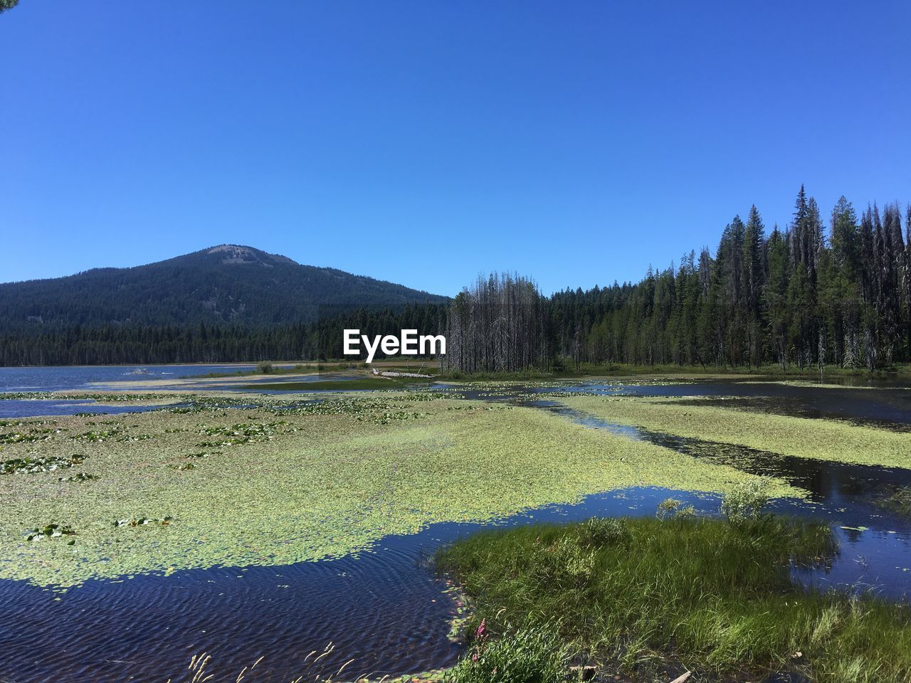 Lake of the woods by mountain against clear blue sky