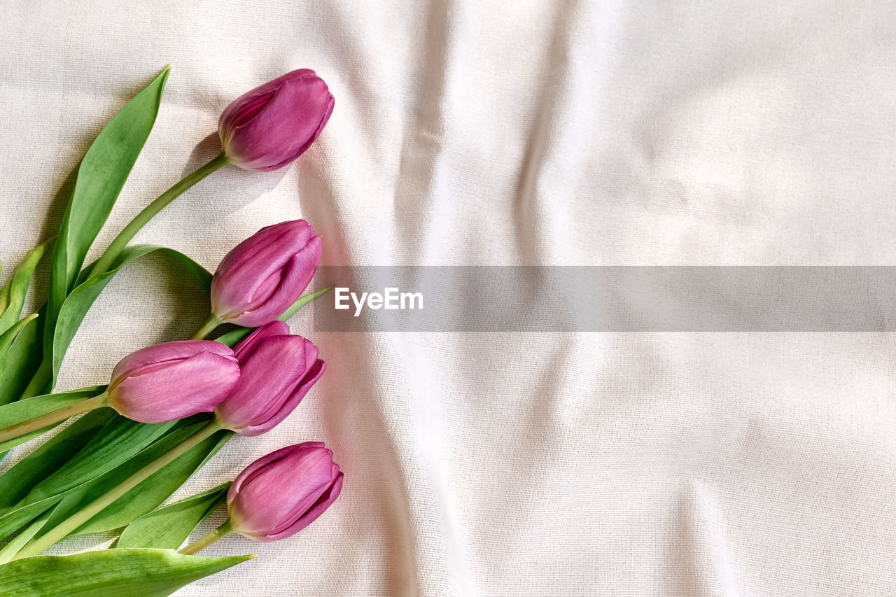Colorful tulips on linen fabric. pink, magenta or fuchsia tulips on wrinkled white or ivory cotton