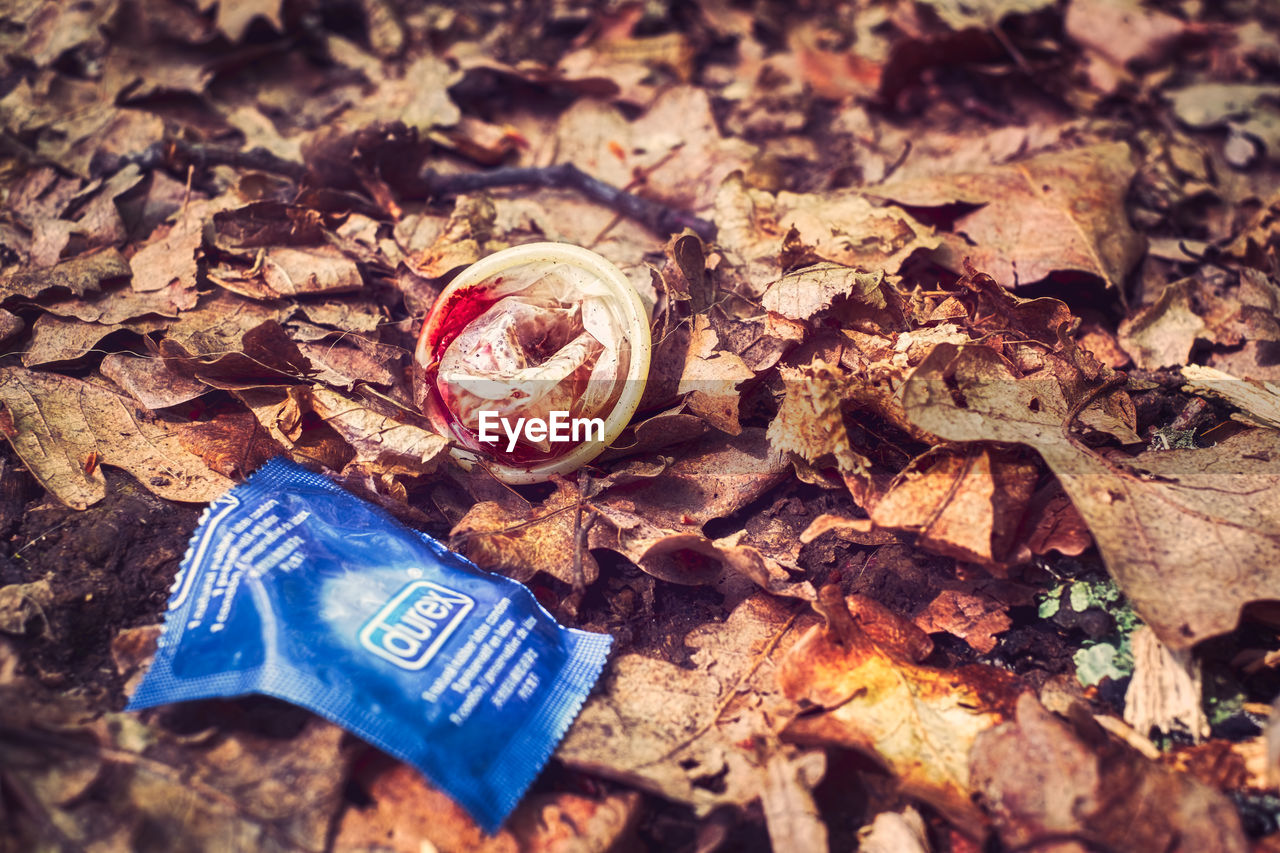 HIGH ANGLE VIEW OF AUTUMN LEAVES ON FIELD