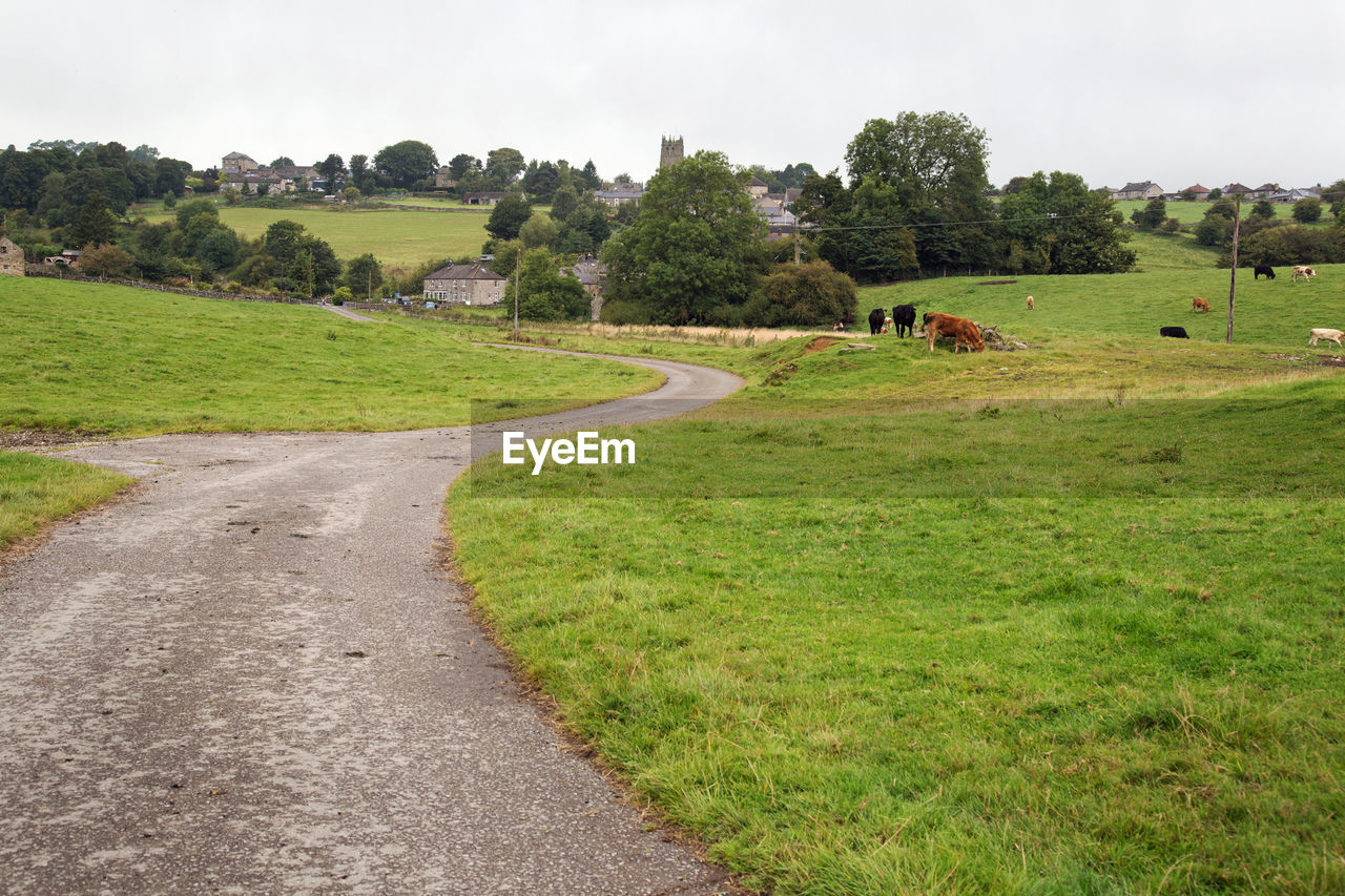 VIEW OF RURAL LANDSCAPE