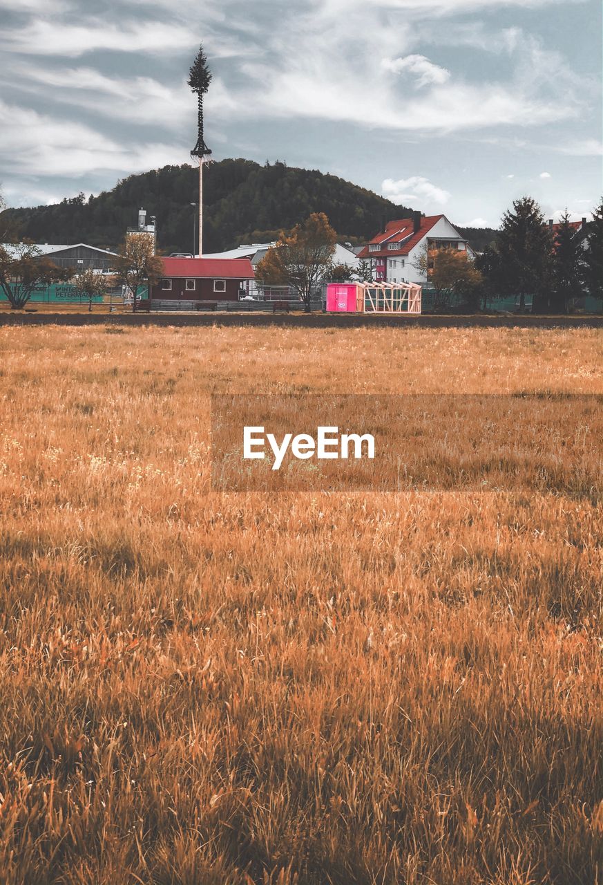 SCENIC VIEW OF FARM AGAINST SKY