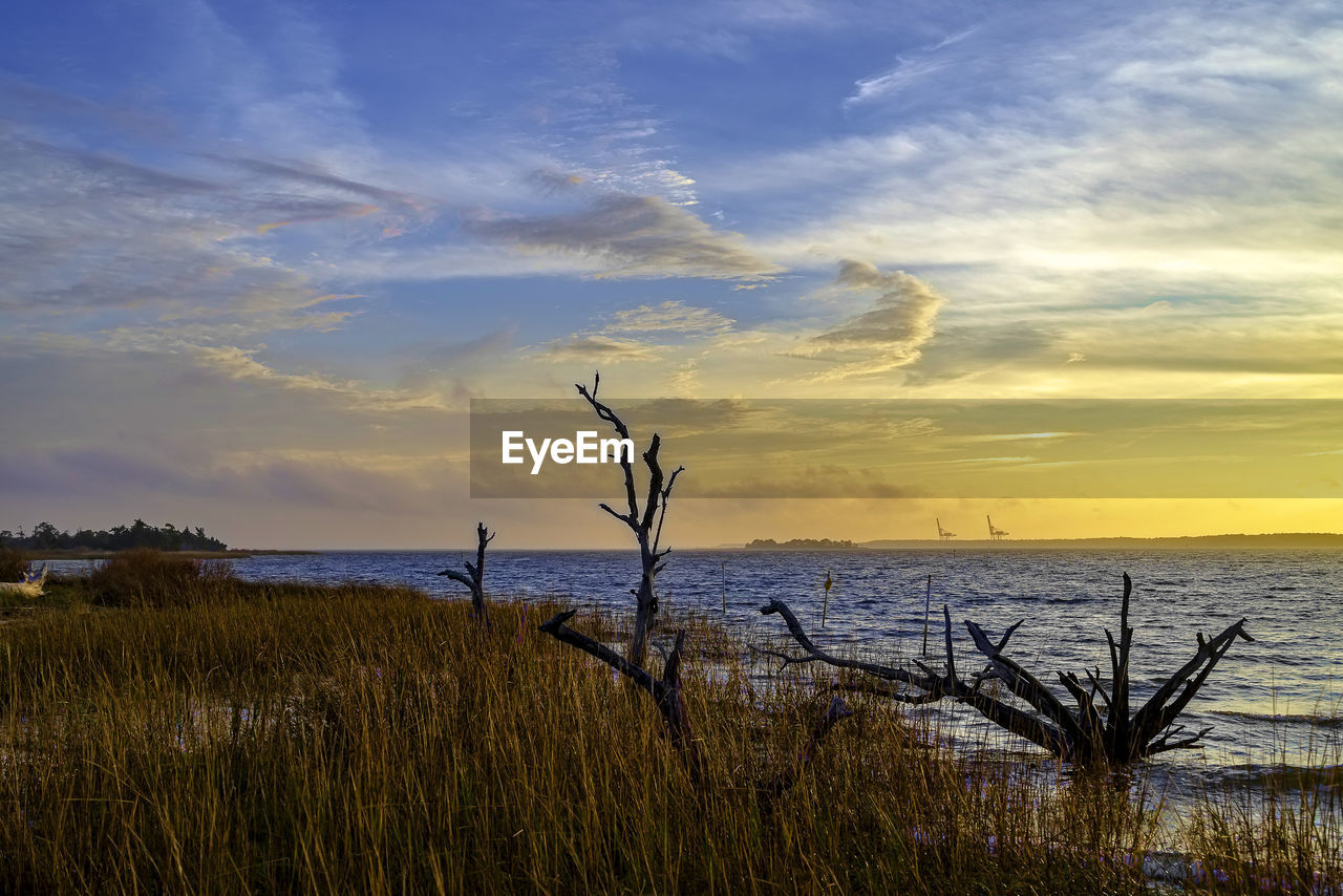 sky, horizon, nature, sunset, cloud, water, evening, beauty in nature, plant, scenics - nature, dusk, tranquility, land, sunlight, reflection, environment, landscape, shore, sea, tranquil scene, grass, no people, tree, beach, prairie, marsh, coast, outdoors, non-urban scene, wetland, wind, dramatic sky, horizon over water, ocean, idyllic, sun, silhouette, natural environment, field, reed, rural area, travel destinations