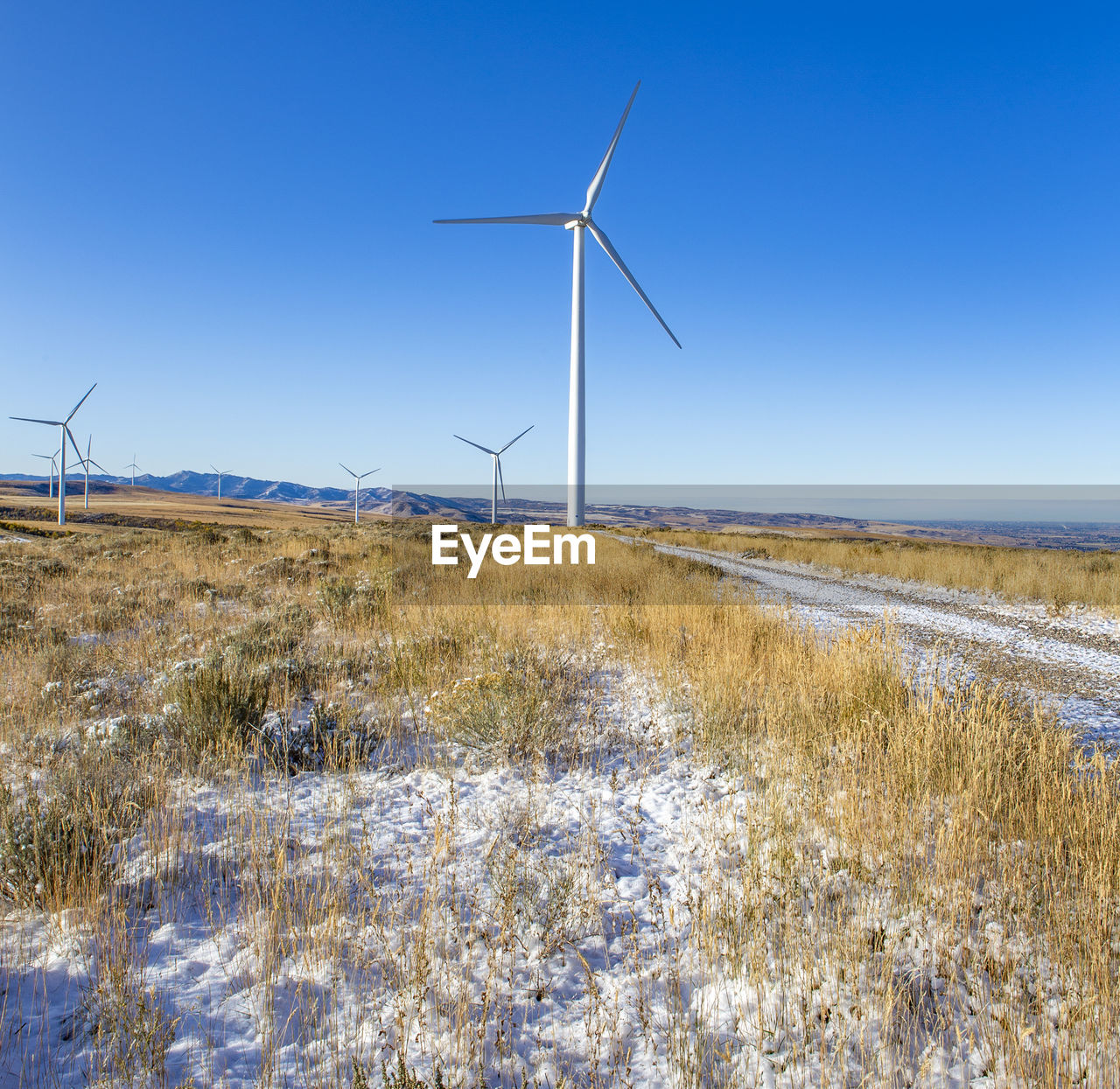 Wind turbines in a field with blue sky