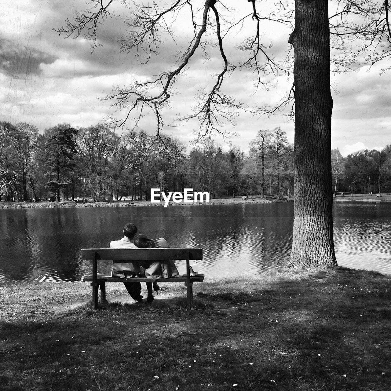 Rear view of couple sitting on bench by the lake