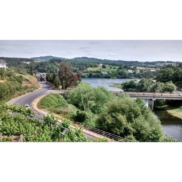 VIEW OF RIVER ALONG TREES