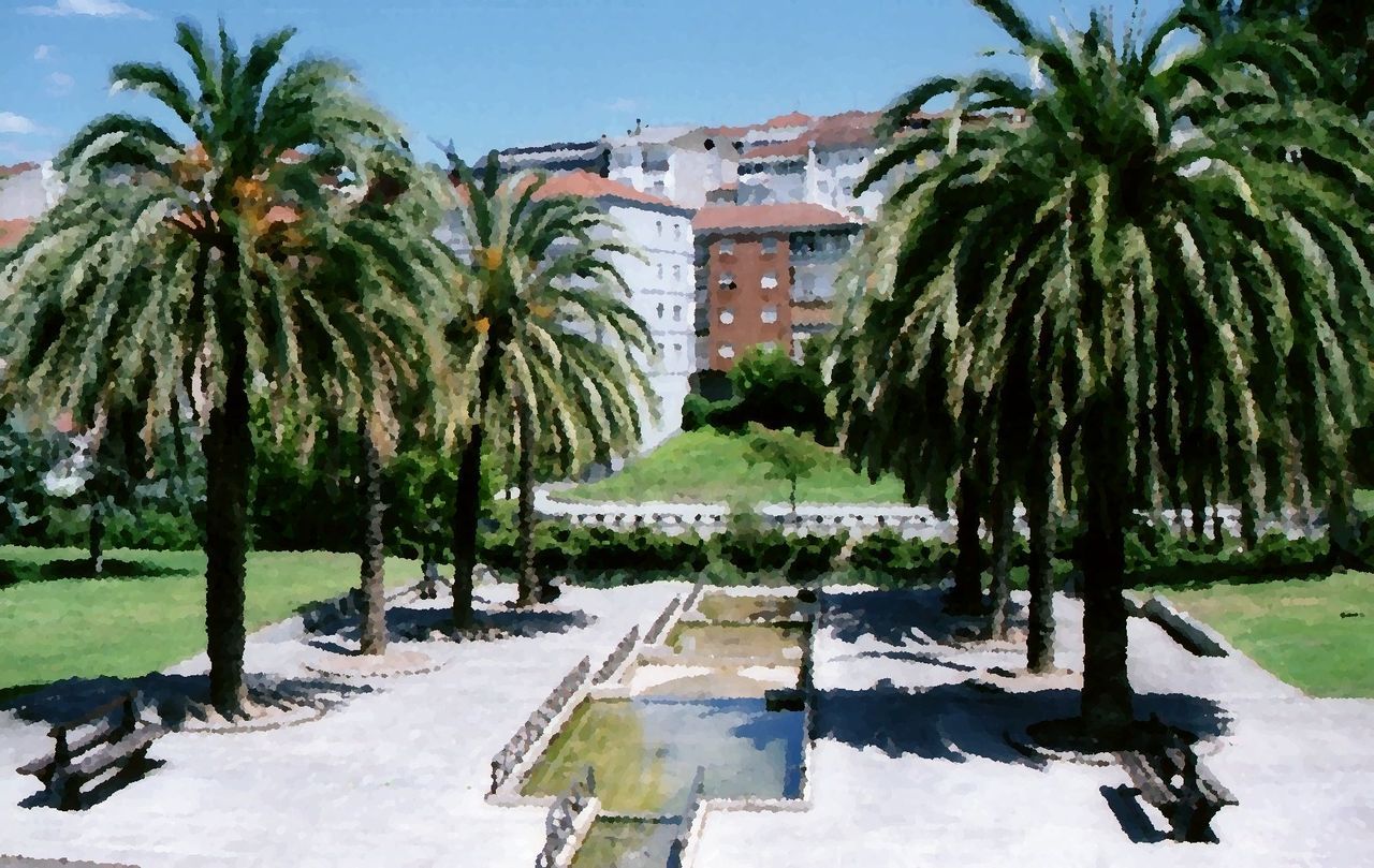 PALM TREES WITH BUILDINGS IN BACKGROUND