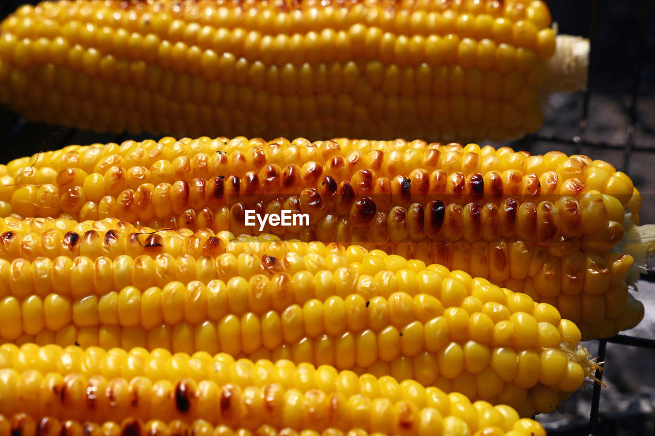 Close-up of grilled corn