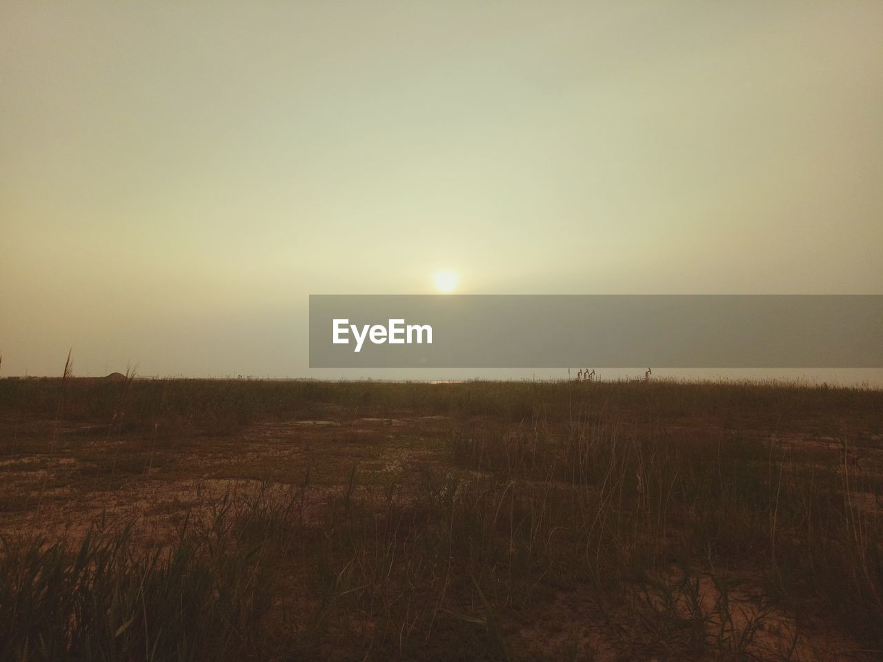 SCENIC VIEW OF FIELD AGAINST CLEAR SKY