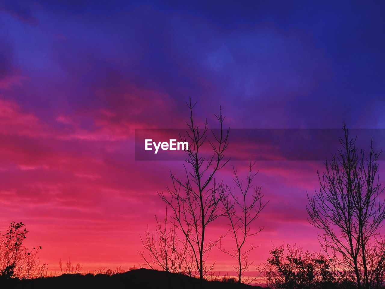 Low angle view of silhouette bare trees against dramatic sky