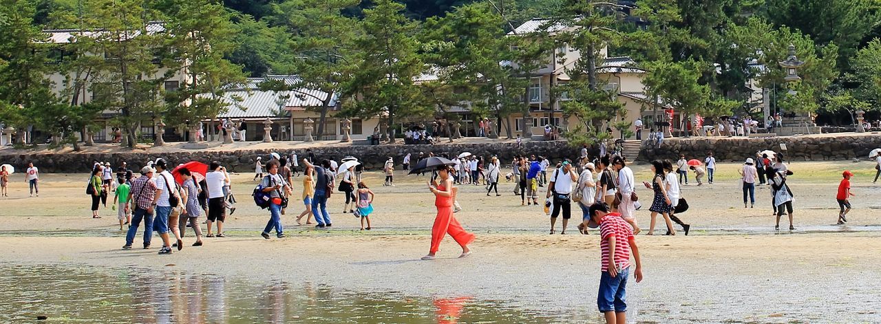 People walking in park