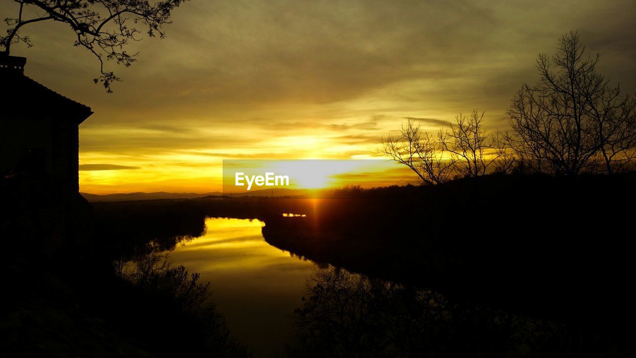 SILHOUETTE OF TREES AT SUNSET