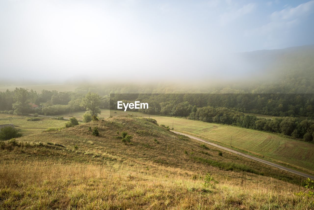 Scenic view of field against sky