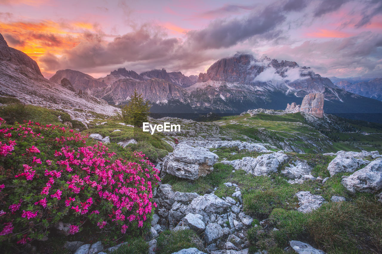 Moody landscape with dolomite mountains in perfect sunset light.