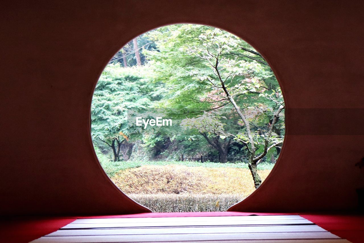 Trees seen through round window at meigetsu-in