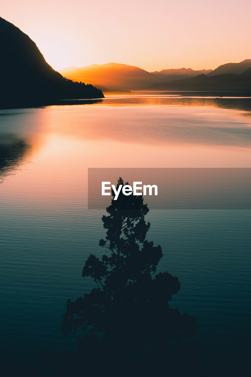 SCENIC VIEW OF LAKE BY SILHOUETTE TREE AGAINST SKY AT SUNSET