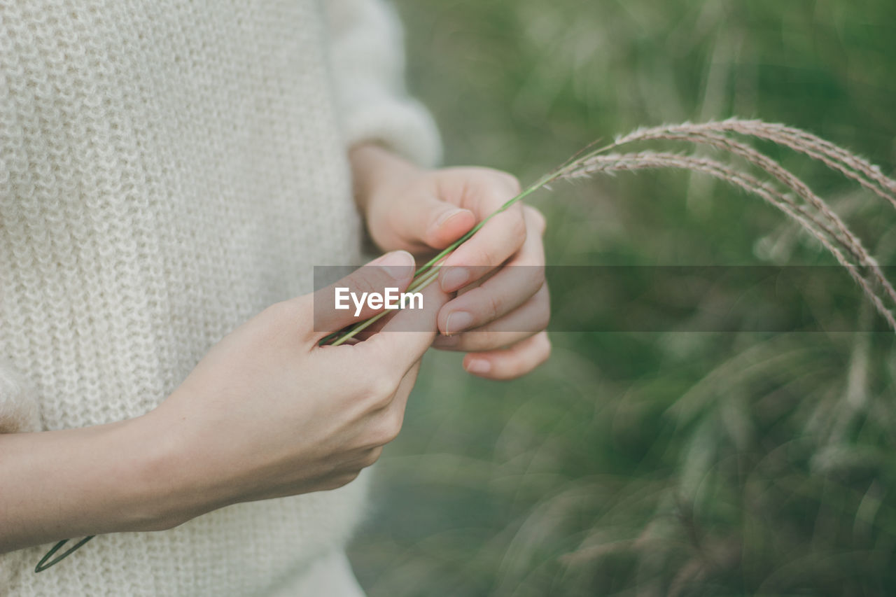 Midsection of woman holding plant while standing in farm