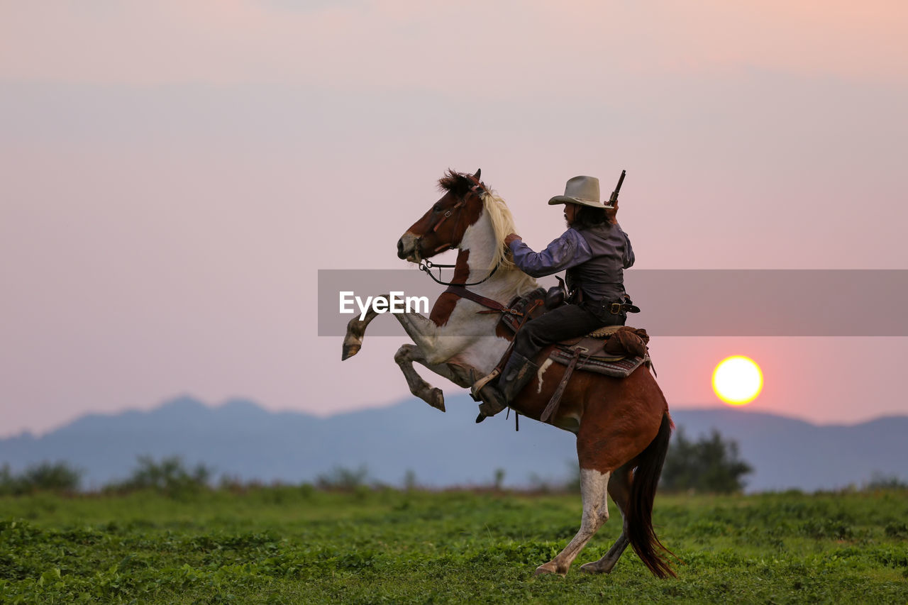 Man riding horse on land against sky