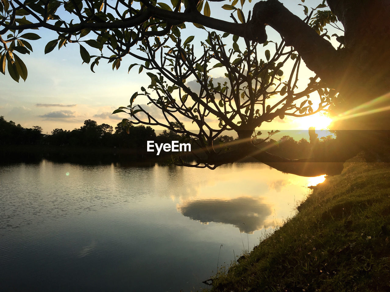 SILHOUETTE TREES BY LAKE AGAINST SKY DURING SUNSET