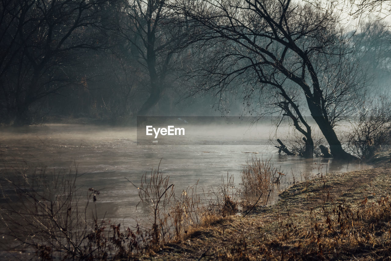 Silhouette bare trees by lake against sky during foggy weather