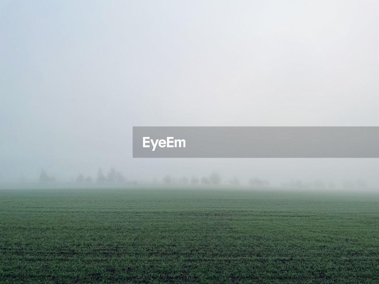 fog, mist, environment, morning, landscape, horizon, plant, land, nature, field, plain, haze, tranquility, grass, beauty in nature, no people, tranquil scene, rural scene, scenics - nature, sky, natural environment, agriculture, green, sunlight, outdoors, tree, copy space, day, non-urban scene, winter, dawn, idyllic, drizzle, wet, grassland