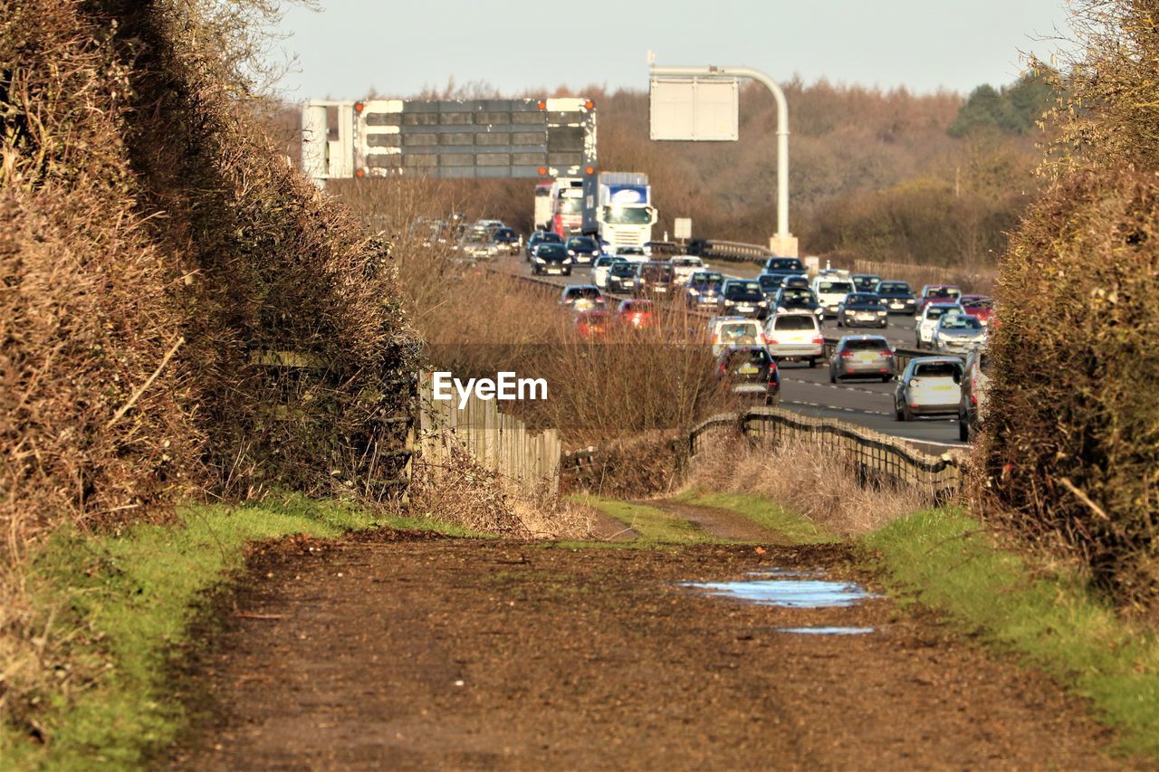 ROAD BY FIELD