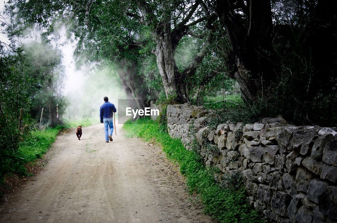 Rear view of a man walking with dog on country road