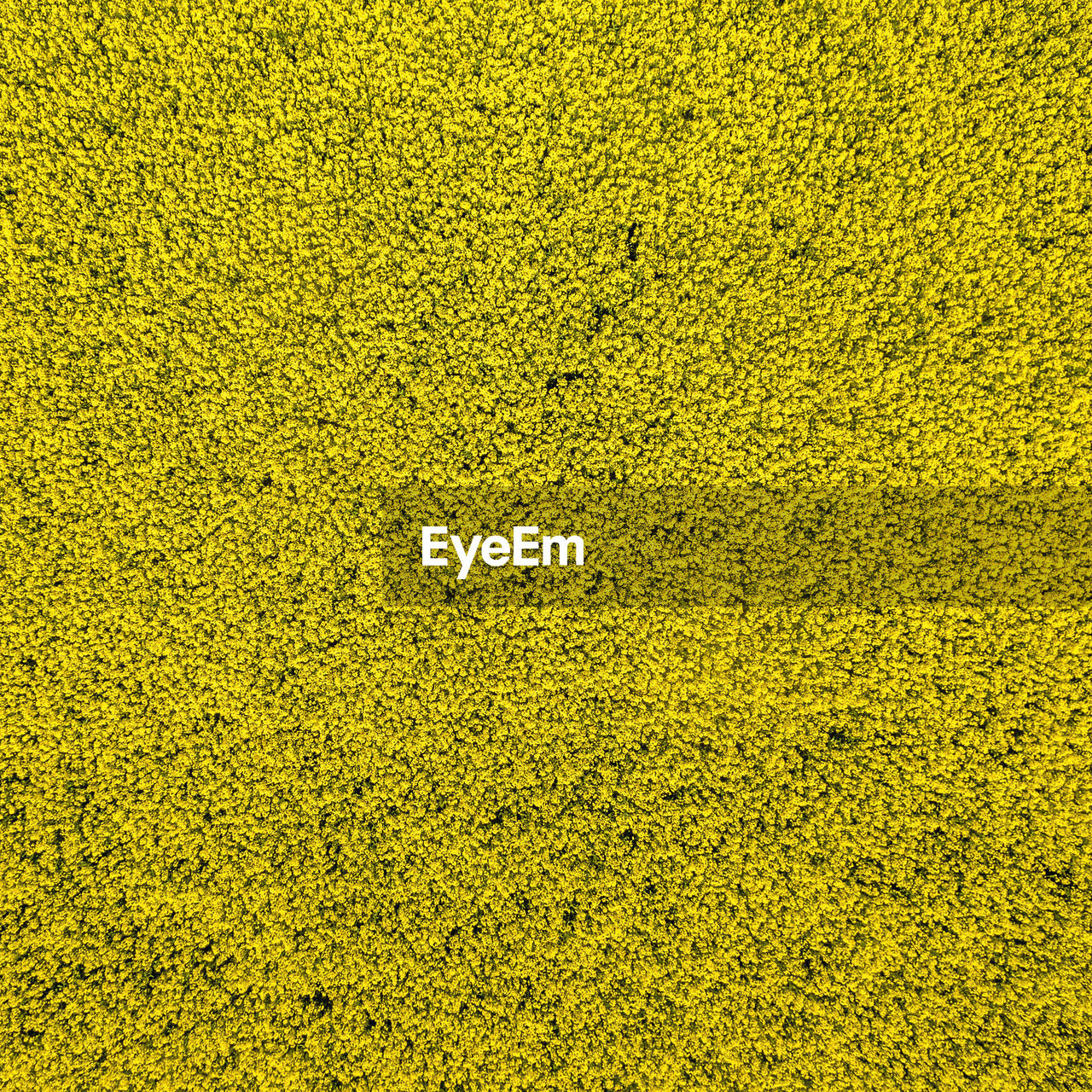 Abstract background from an aerial photo of a yellow blooming canola field at a height of 100 meters