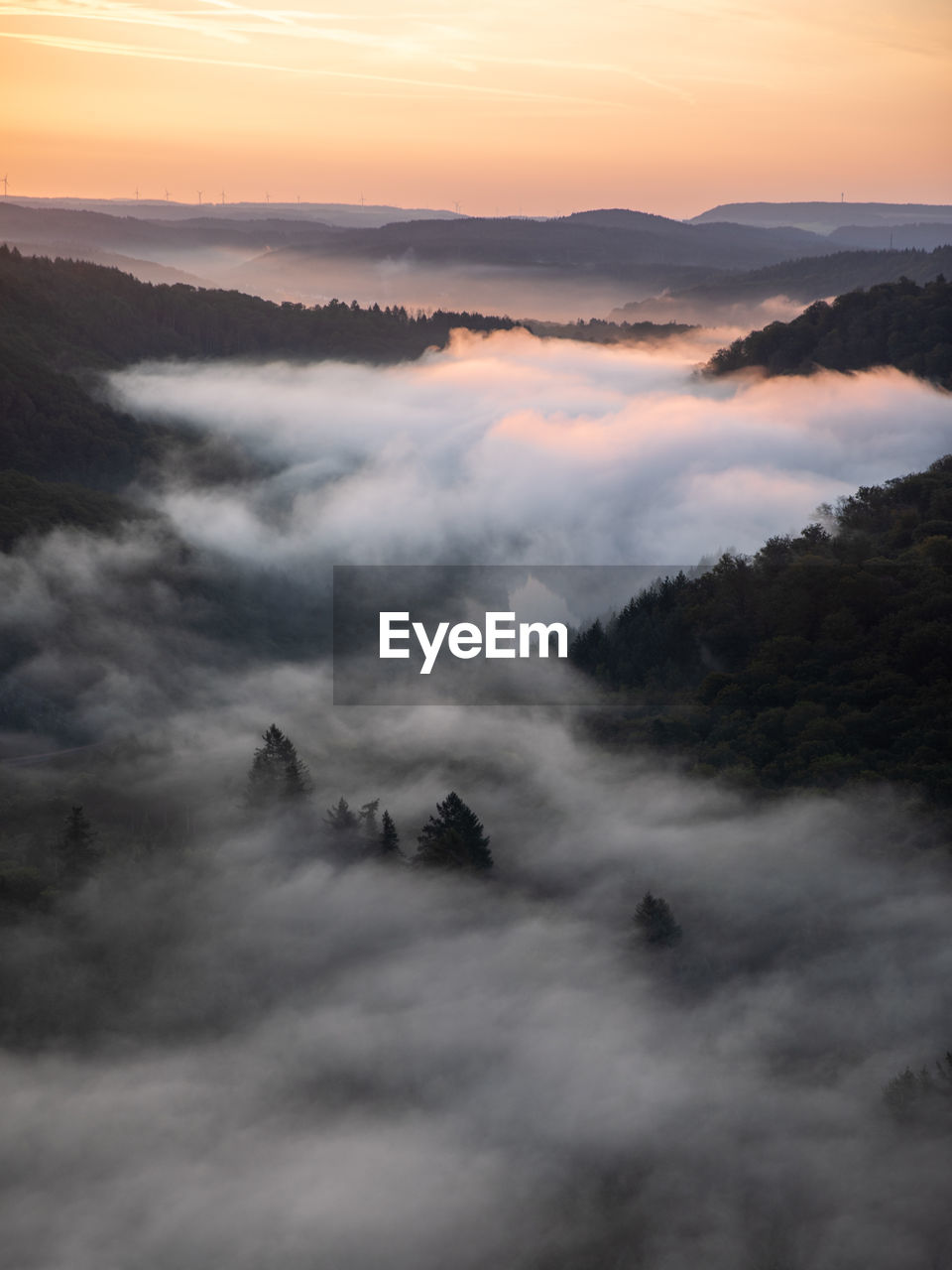 Aerial view of fog in forest during sunset
